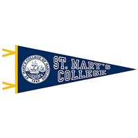 College Seal Flocked Pennant 12"X30"