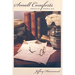 Small Comforts: Essays at Middle Age