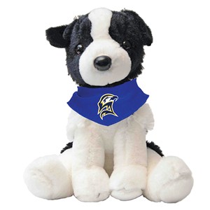 Oreo Border Collie