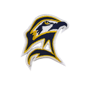 Seahawk Iron On Patch