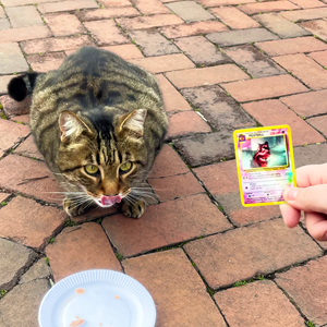 MEATBALL POKEMON CARD STICKER