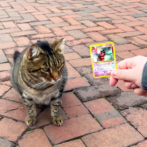 MEATBALL POKEMON CARD STICKER