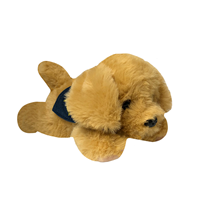 Tiny Tyke Labrador Retriever