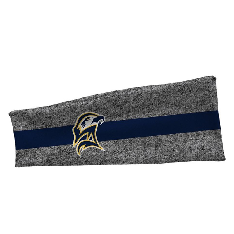 Legacy Headband Team Stripe